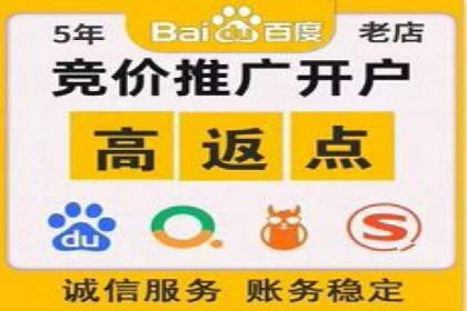专业SEM代运营托管公司案例分析