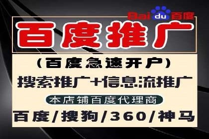 案例研究：SEM优化助力企业品牌建设